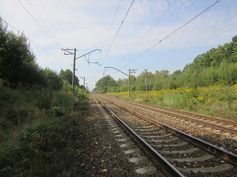 File:Dzelzceļa līnija Rīga - Daugavpils posmā Kaibala - Lielvārde.jpg