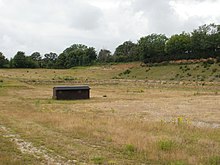 Eartham Pit, Boxgrove. JPG