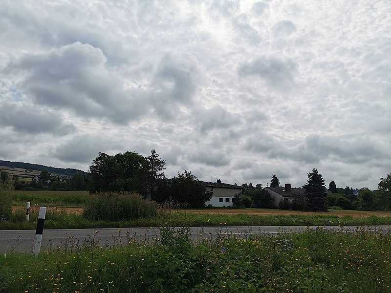 File:Ehemaliger Bauernhof mit großer Scheune bzw. Halle am Rand des Fahrentalgrabens bei Tauberbischofsheim in Richtung Impfingen 6.jpg