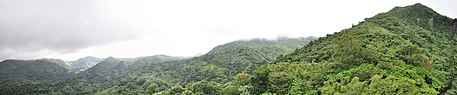 El Yunque National Forest El Yunque panorama.jpg