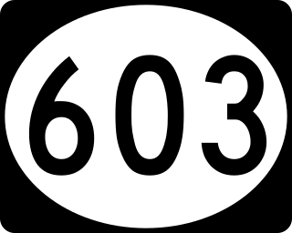 <span class="mw-page-title-main">Mississippi Highway 603</span> Highway in Mississippi