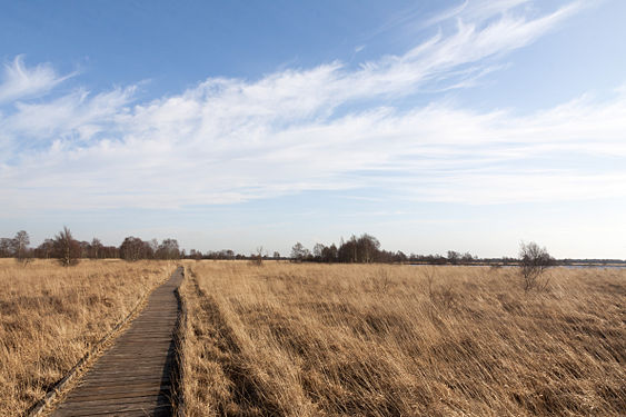 Moorlandschaft am Ewigen Meer