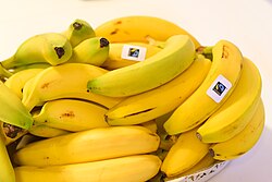 Fairtrade-märkta bananer.jpg