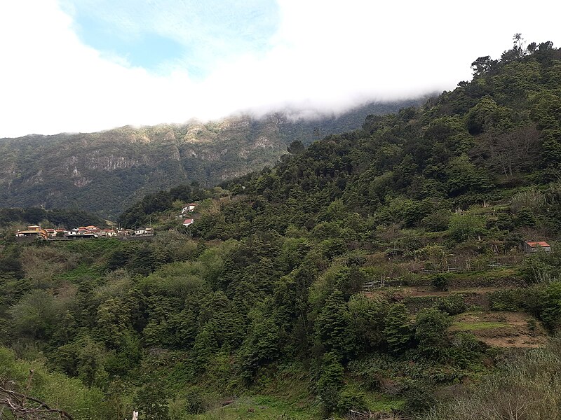 File:Falca, Madeira, seen from road.jpg