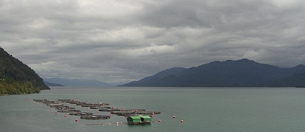 Fishfarm in Fjord near La Junta, 2009. Chile is the second largest producer of salmon in the world.[139]