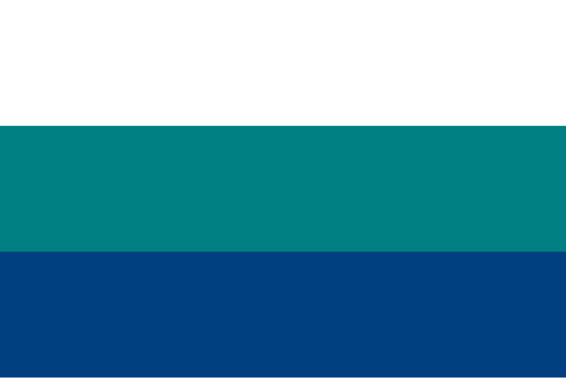 File:Flag of Ñeembucú Department.svg