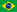 brazilian