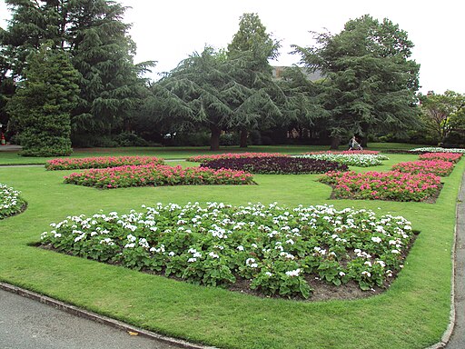 Flowerbeds, Grosvenor Park, Chester - DSC08003