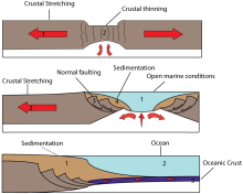Illustration of lithospheric stretching Formation of passive margins cropped.svg