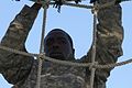 Fort Hood's Best Warrior Competition 2016 160621-A-LM440-115.jpg