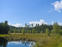 Moorkomplex an den Franzosenwiesen