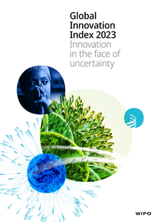 GII Index 2023 Report Cover.png