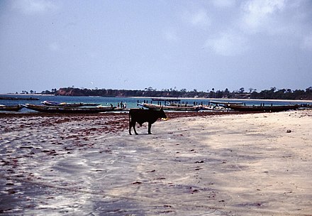 A beach inThe Gambia