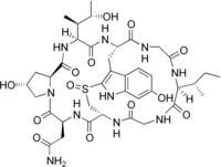 Gamma-amanitin structure.png