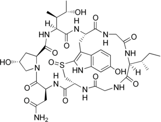 Gamma-Amanitin chemical compound