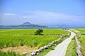 * Nomination A beautiful view of Jeju Island seen from Gapado island. --Naturehead 02:47, 5 May 2012 (UTC) * Decline Inacceptable oversaturation, sorry. - A.Savin 10:11, 5 May 2012 (UTC)