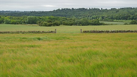 Gateway (geograph 2713446)