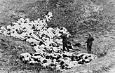 Einsatzgruppe shooting.jpg