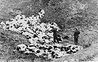 German officer executes Jewish women who survived a mass shooting outside the Mizocz ghetto, 14 October 1942.jpg