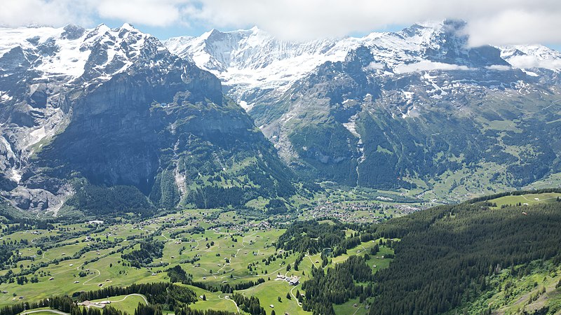 File:Grindelwald as seen from the First cable car station 100622.jpg