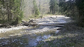 Große Gaißach Attenloher Filzenin itäpuolella.