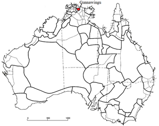 Gunwinggu Australian Aboriginal tribe