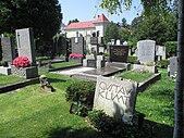 Klimt's grave in the Hietzing cemetery