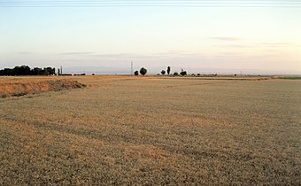 مزارع جو و گندم روستای حاجی‌آباد زبرخان نیشابور