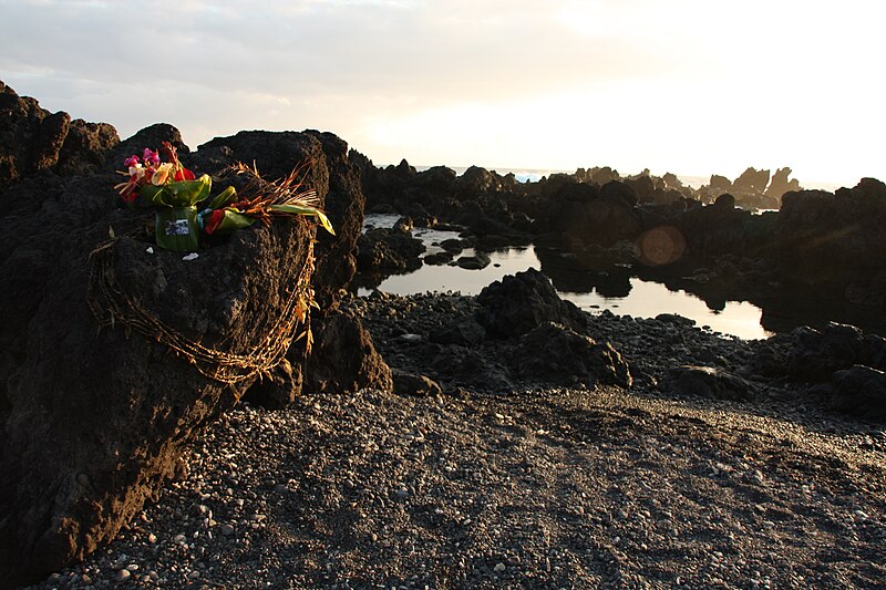 File:Hawaiian sea rocks 10.JPG