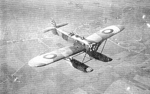 Heinkel HE 8 (HM.II).jpg