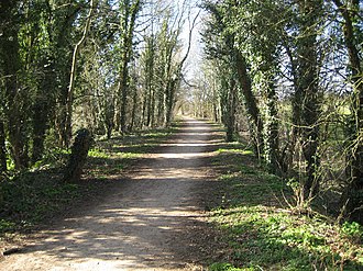 The line of the former railway in 2008, west of Hertingfordbury station, now used as a footpath and cycle way Hertingfordbury, Former Hertford to Welwyn railway - geograph.org.uk - 723972.jpg