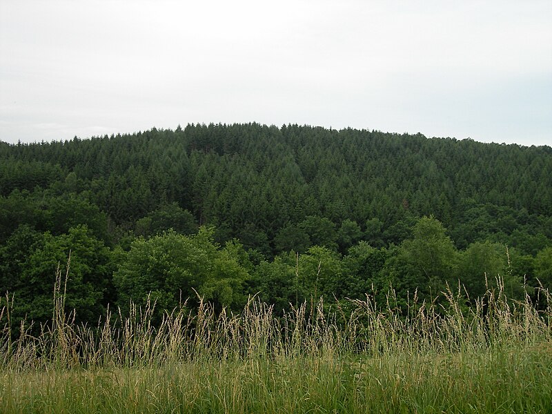 File:Hill005.jpg