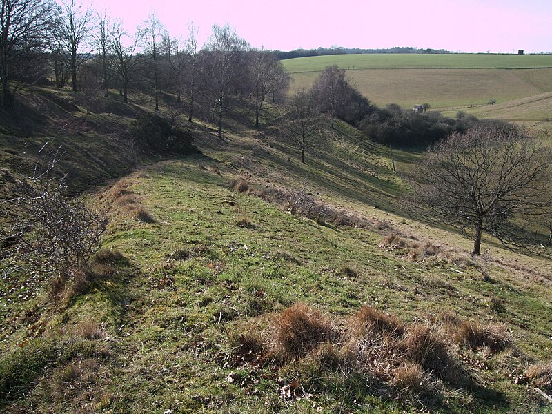 File:Holloway down into The Warren - geograph.org.uk - 2822600.jpg