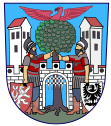 Wappen von Hostinné