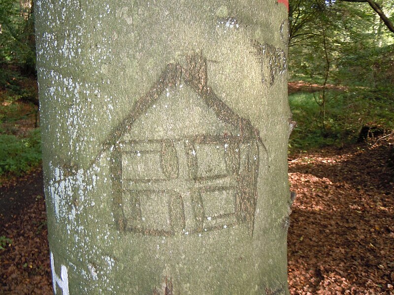 File:In Baum eingeritztes Bild eines Hauses.jpg