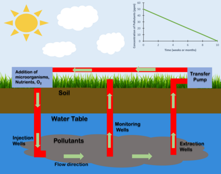 Visual representation showing in-situ bioremediation. This process involves the addition of oxygen, nutrients, or microbes into contaminated soil to remove toxic pollutants.[10] Contamination includes buried waste and underground pipe leakage that infiltrate ground water systems.[11] The addition of oxygen removes the pollutants by producing carbon dioxide and water.[7]
