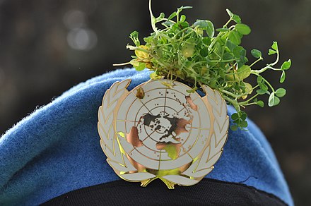 Shamrock on an Irish Defence Forces UN beret being worn on Saint Patrick's Day
