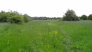 <span class="mw-page-title-main">Islip Manor Meadows</span> Nature reserve in Ealing, London