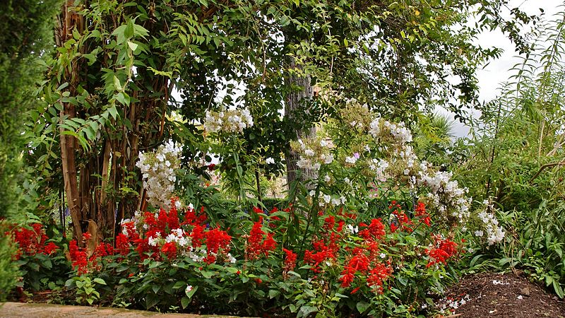 File:Jardines de la Alhambra, Granada 26.JPG