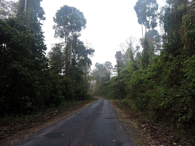 File:Jarwa reserve forest ,Andaman Islands, India.JPG