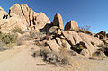 * Nomination Rock formations, Joshua Tree National Park. --King of Hearts 03:40, 19 May 2015 (UTC) * Promotion  Support Good quality. --XRay 06:11, 19 May 2015 (UTC)