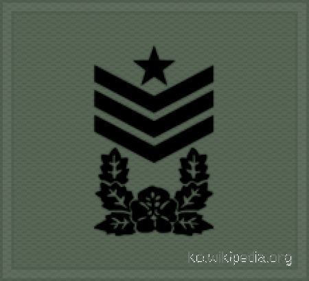 Tập_tin:KA_insignia_(cloth)_Sergeant_Major.gif