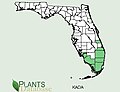 Distribución por condado en Florida
