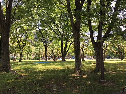 神奈川通公園への交通機関を使った移動方法