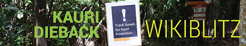 File:Kauri dieback banner.jpg