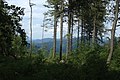 Čeština: Les na úpatí hory Kečka na západním okraji Nízkých Tater, Slovensko English: A forest near the Kečka hill, Slovakia