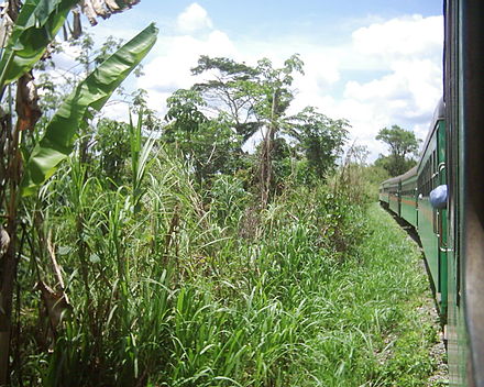 Railway between Kinshasa and Matadi