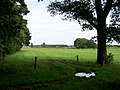 Uitzicht vanuit het bos, verderop de A16