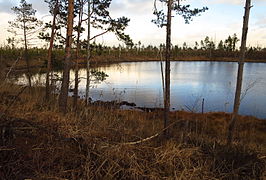 Kurtna Kulpjärv Kurtna järvestikus Kurtna maastikukaitsealal