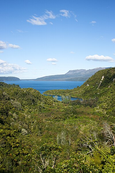 The deep blue of Lake Tarawera on a fine day.